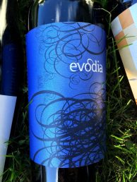 evodia-varietal-de-aragon-red-wine