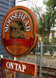 moosehead lager sign Tavern 489