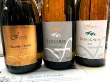 Spring to Loire tasting (35)