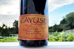 Cyause Syrah Calloix Vineyard