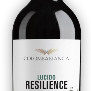 Colomba Bianca Lucido Resilience